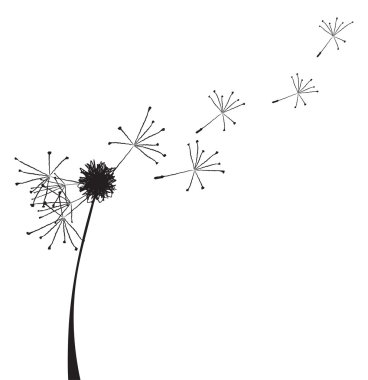 fragility clipart