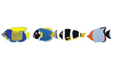 Tropical fishes clipart