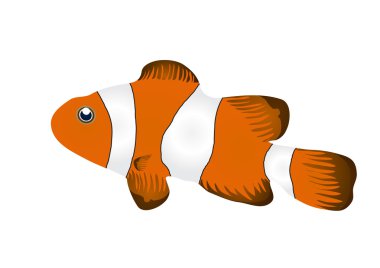 Clownfish clipart