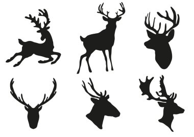 Deers silhouette