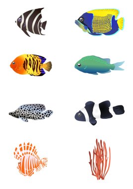 Exotic fishes with coral clipart