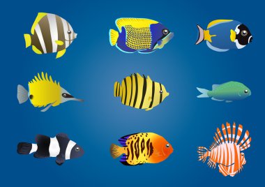 Exotic fishes clipart