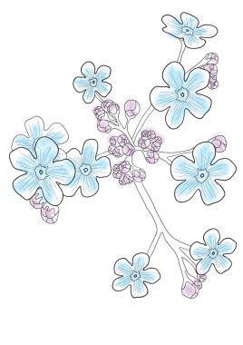 Beautiful blue forget-me-nots clipart