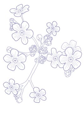 Beautiful wildflower clipart