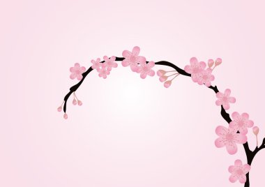 blossom clipart