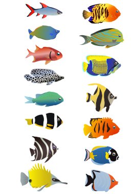 Tropical fishes clipart