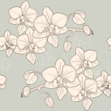 Orchid clipart