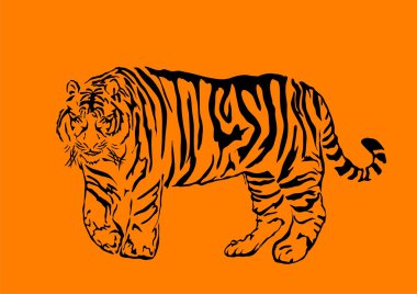 Black bengal tiger clipart