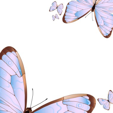 several butterflies clipart