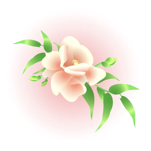 Vectorillustratie van prachtige bruiloft bloemen — Stockvector