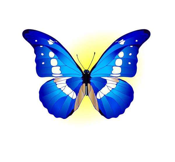 Mariposa azul — Vector de stock