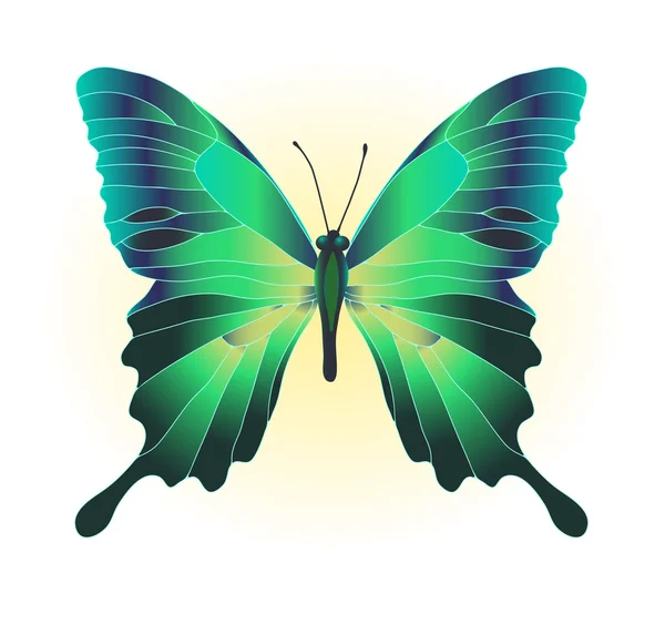 Beautiful green butterfly — Stock Vector