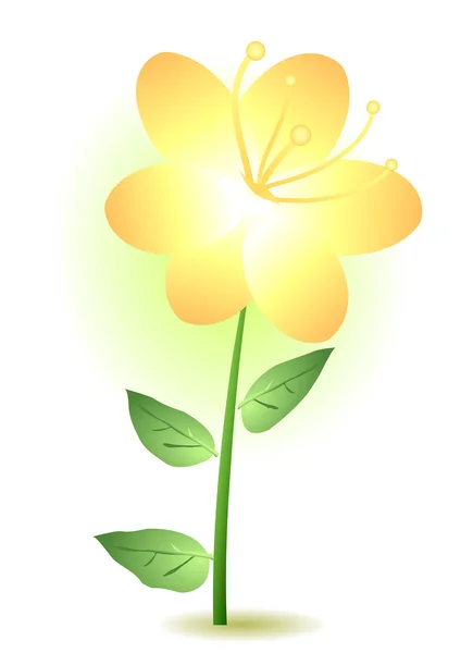 Lily amarela — Vetor de Stock