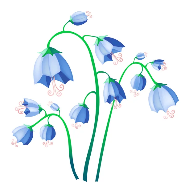 Vector illustration of blue bells isolate on background — Stock Vector