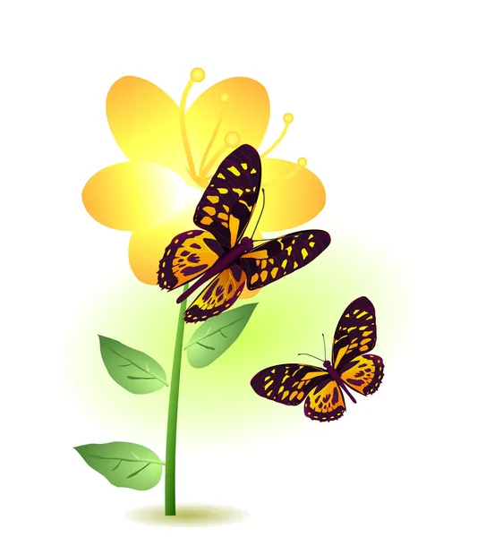 Blume mit zwei Schmetterlingen — Stockvektor