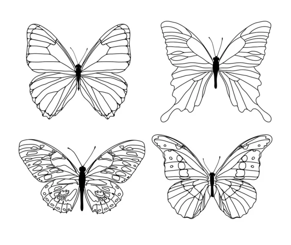 Černý motýlů — Stockový vektor
