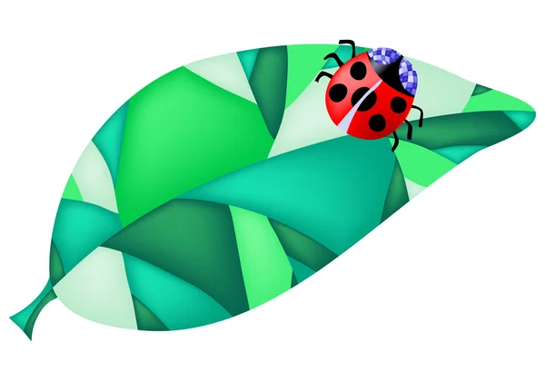 Ladybug on the leaf — Stock Vector