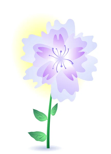 Fialový letní květiny — Stockový vektor