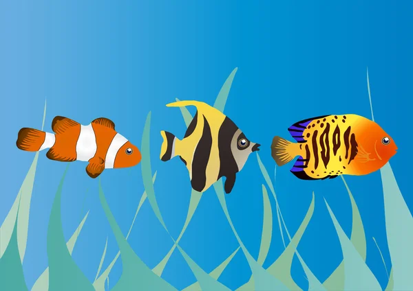 Три тропические рыбы — стоковый вектор