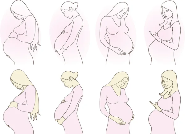 Mujeres embarazadas. — Vector de stock