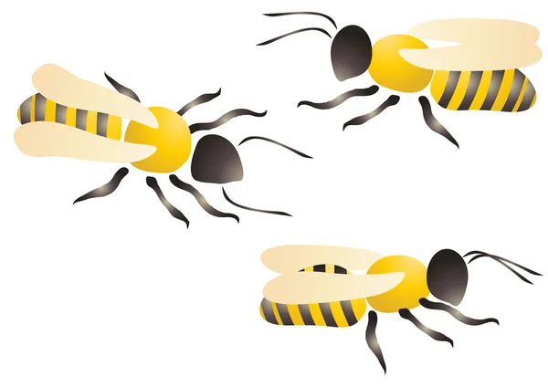 Arılar ya da Yaban arıları — Stok Vektör