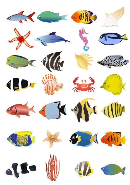 Samling av marina djur — Stock vektor