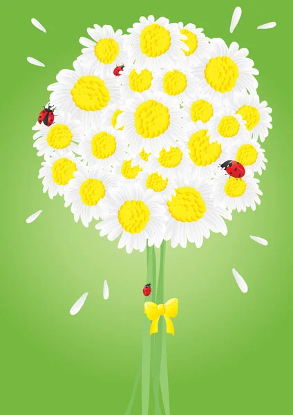 Bouquet lumineux avec coccinelles — Image vectorielle