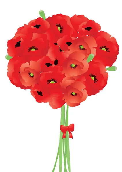 Luminoso bouquet di papaveri rossi — Vettoriale Stock