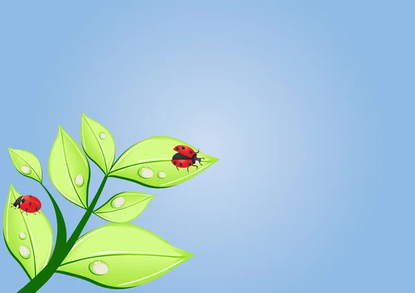 Δύο ladybugs — Διανυσματικό Αρχείο