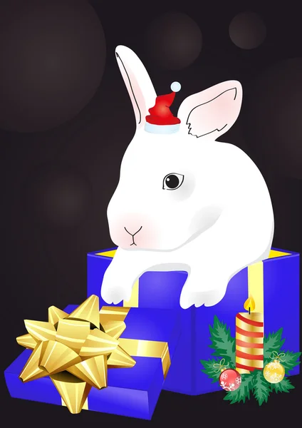 Rabbit with blue giftbox — Stock Vector