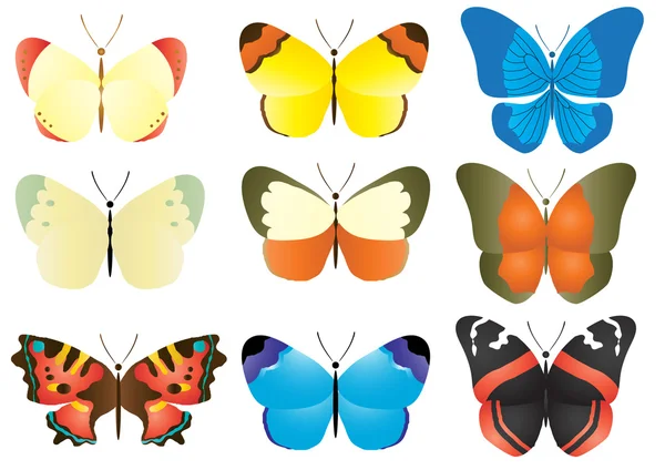 Multicolored butterfly collection — Stock Vector