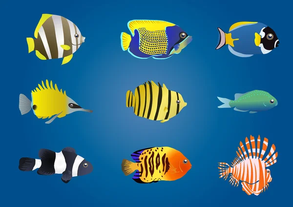 Poissons exotiques — Image vectorielle