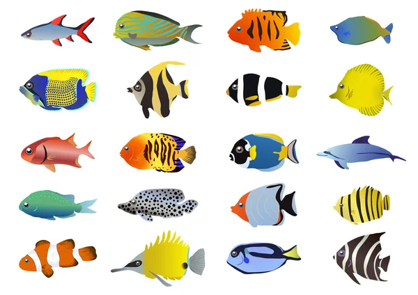 Conjunto de peixes tropicais — Vetor de Stock