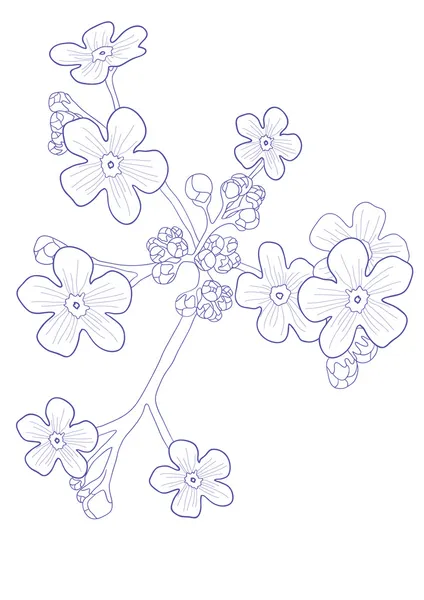 Belle fleur sauvage — Image vectorielle