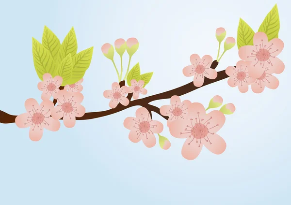 La floraison — Image vectorielle