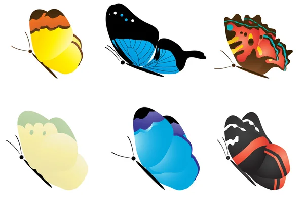 多彩多姿的飞蝴蝶标本 — 图库矢量图片