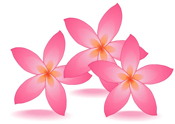 Tres flores de rosa — Archivo Imágenes Vectoriales
