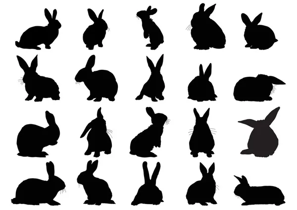 Кролики — стоковый вектор