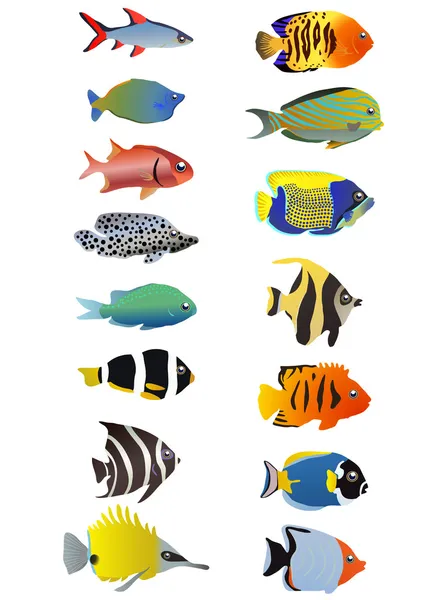 Tropical fishes — Stock Vector