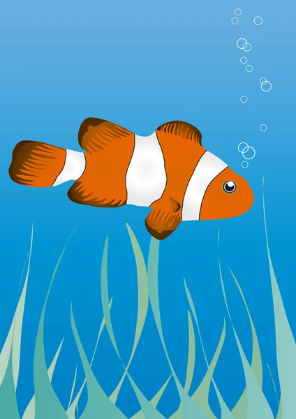 Clownfish under water — Stock Vector