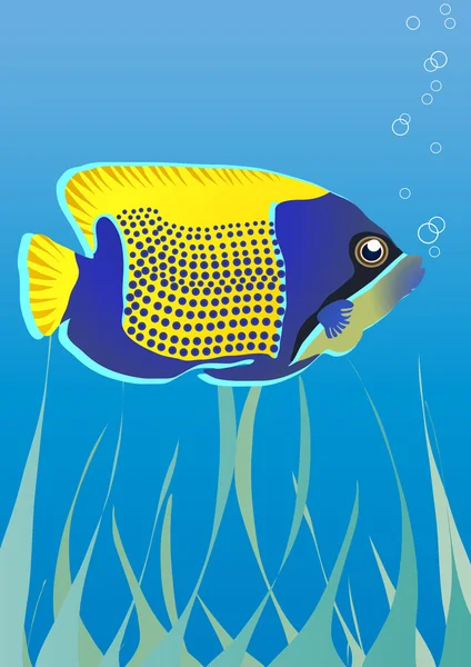 Tropisk fisk under vatten — Stock vektor
