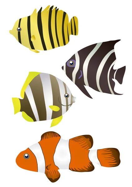 热带鱼 — 图库矢量图片