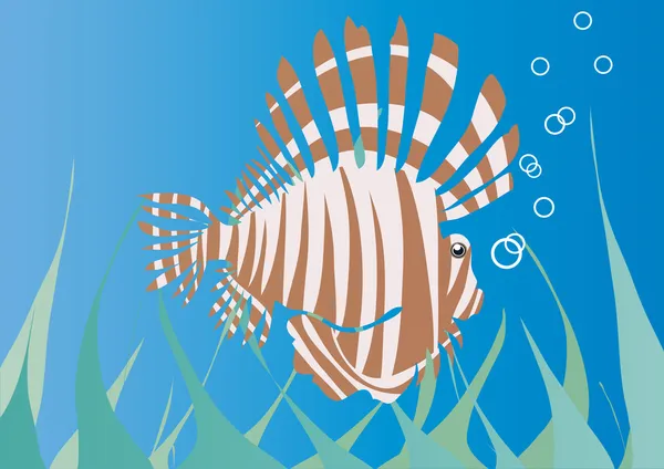 Hérisson marin sous l'eau — Image vectorielle