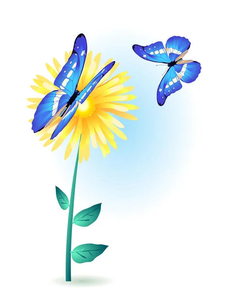 Virág, kék lepkék — Stock Vector