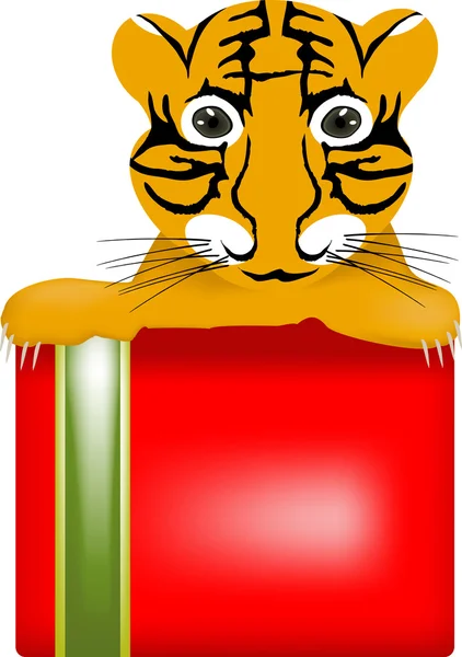 Tigre bebé sobre caja — Vector de stock