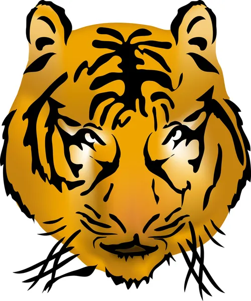ベンガルの虎の頭 — ストックベクタ