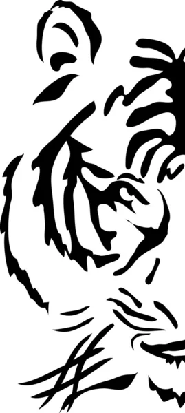 Mezzo muso di tigre del bengala — Vettoriale Stock