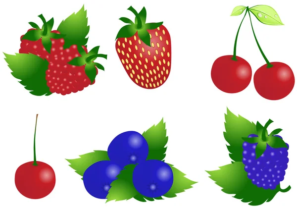 成熟的莓果 — 图库矢量图片