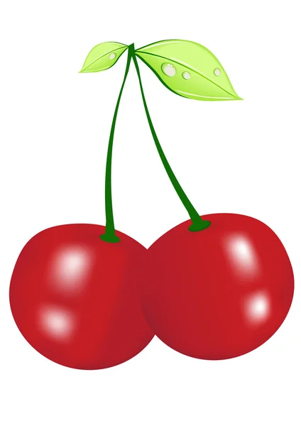 Ripe cherry — Stock Vector