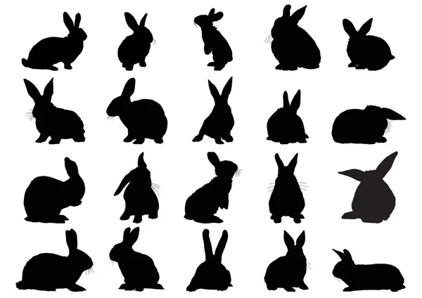 ᐈ Of Bunny Rabbits Stock Drawings Royalty Free Rabbit Vectors Download On Depositphotos